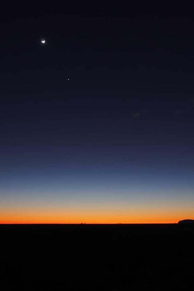 PetRebels Wall of Rebels scratching post