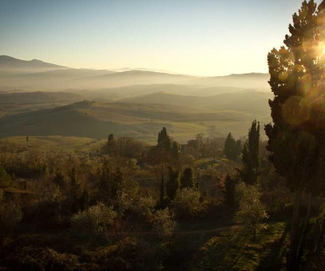 Flexi Leash New Classic S