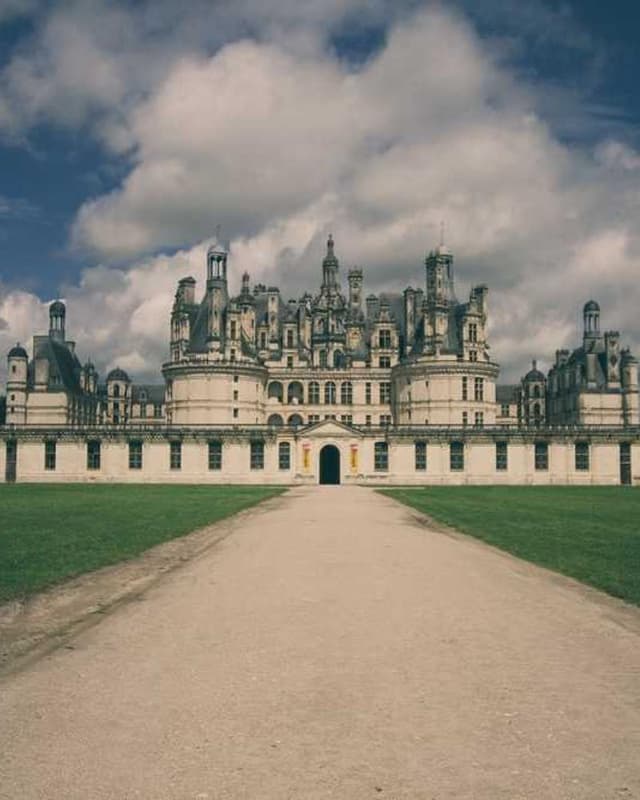 Furminator Deshedding Tool M