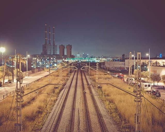 PetRebels Wall of Rebels scratching post
