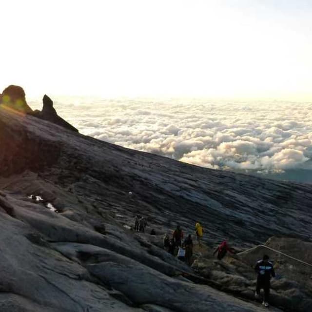 Royal Canin Urinary S/O