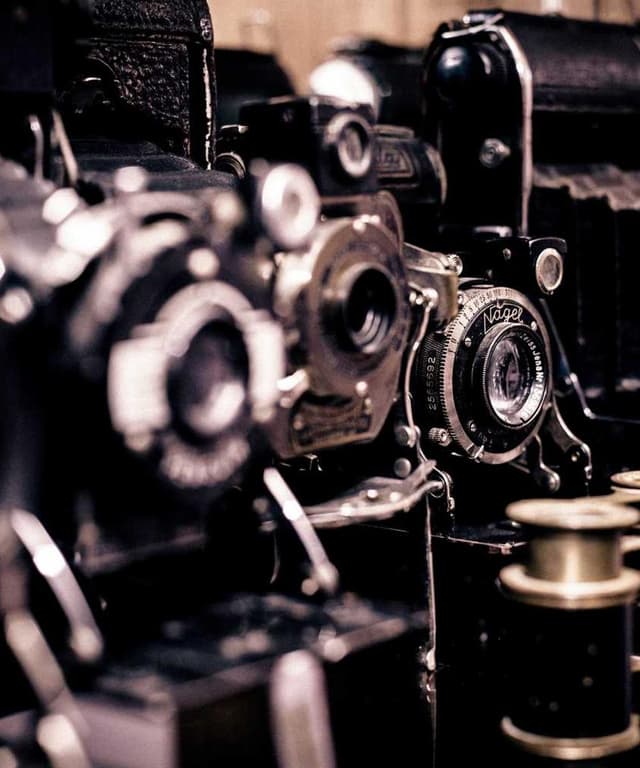 Flexi Leash New Classic S