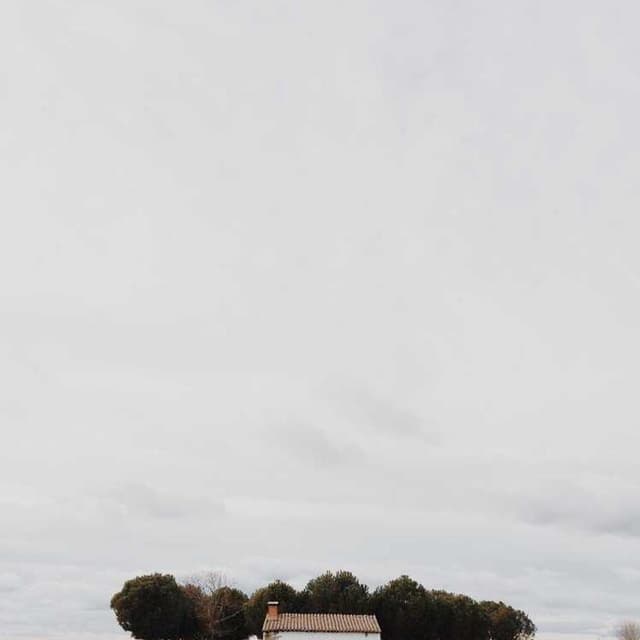 Trixie Cat Toy Mouse