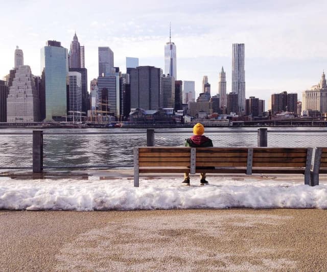 Freezack Single Dinner Bowl for Dogs