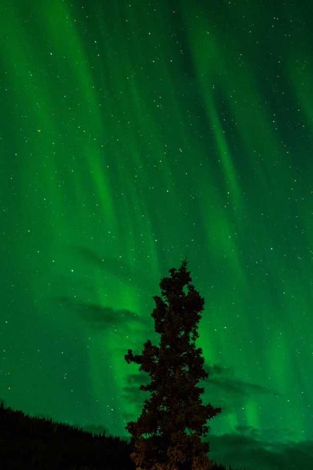 bePURE Liquid Chicken Snack