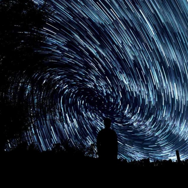 Freezack Single Dinner Bowl for Dogs