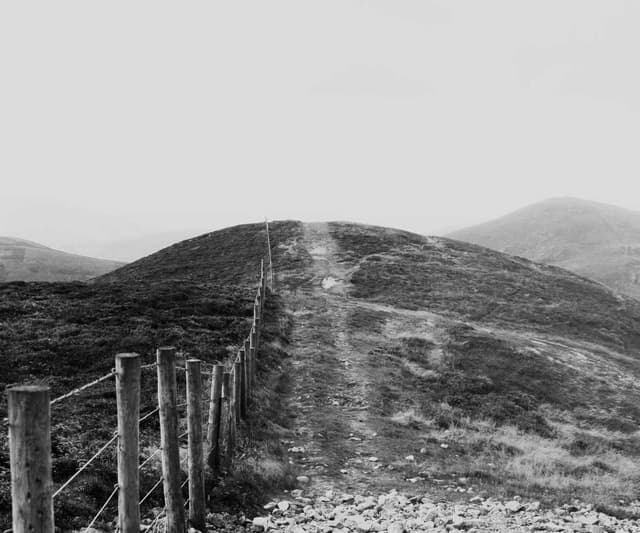 Trixie Cat Toy Mouse